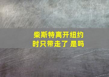 柴斯特离开纽约时只带走了 是吗